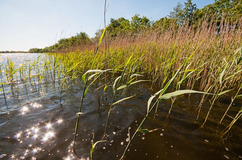 Vechtplassen kortenhoef